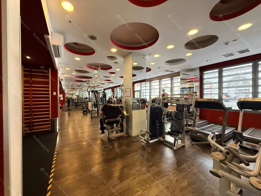 Kiadó albérlet 250000 Ft/hó áron: Budapest, VI. kerület  Ó utca. Mérete: 43 nm, 2 szobás | Alberlet.hu - 6699300