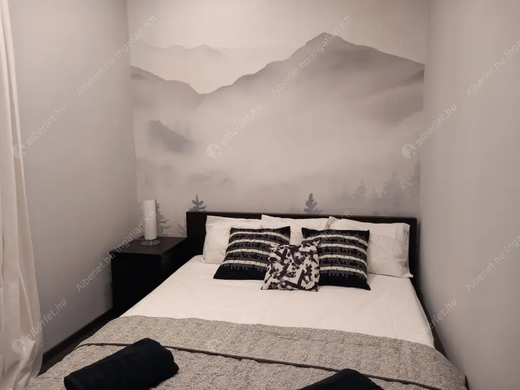 Kiadó albérlet 350000 Ft/hó áron: Budapest, VI. kerület  Paulay Ede utca. Mérete: 38 nm, 2 szobás | Alberlet.hu - 6635460
