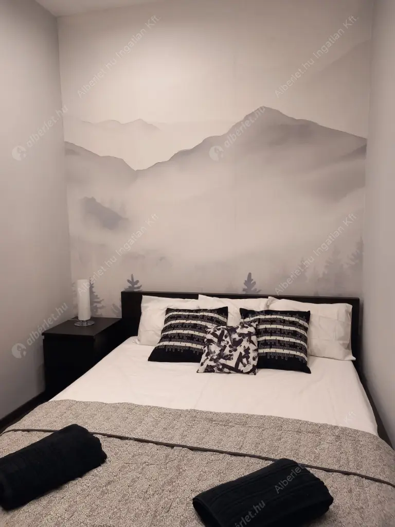Kiadó albérlet 350000 Ft/hó áron: Budapest, VI. kerület  Paulay Ede utca. Mérete: 38 nm, 2 szobás | Alberlet.hu - 6635466