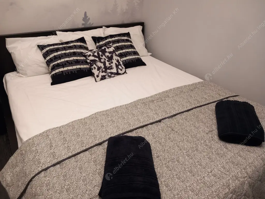 Kiadó albérlet 350000 Ft/hó áron: Budapest, VI. kerület  Paulay Ede utca. Mérete: 38 nm, 2 szobás | Alberlet.hu - 6635467