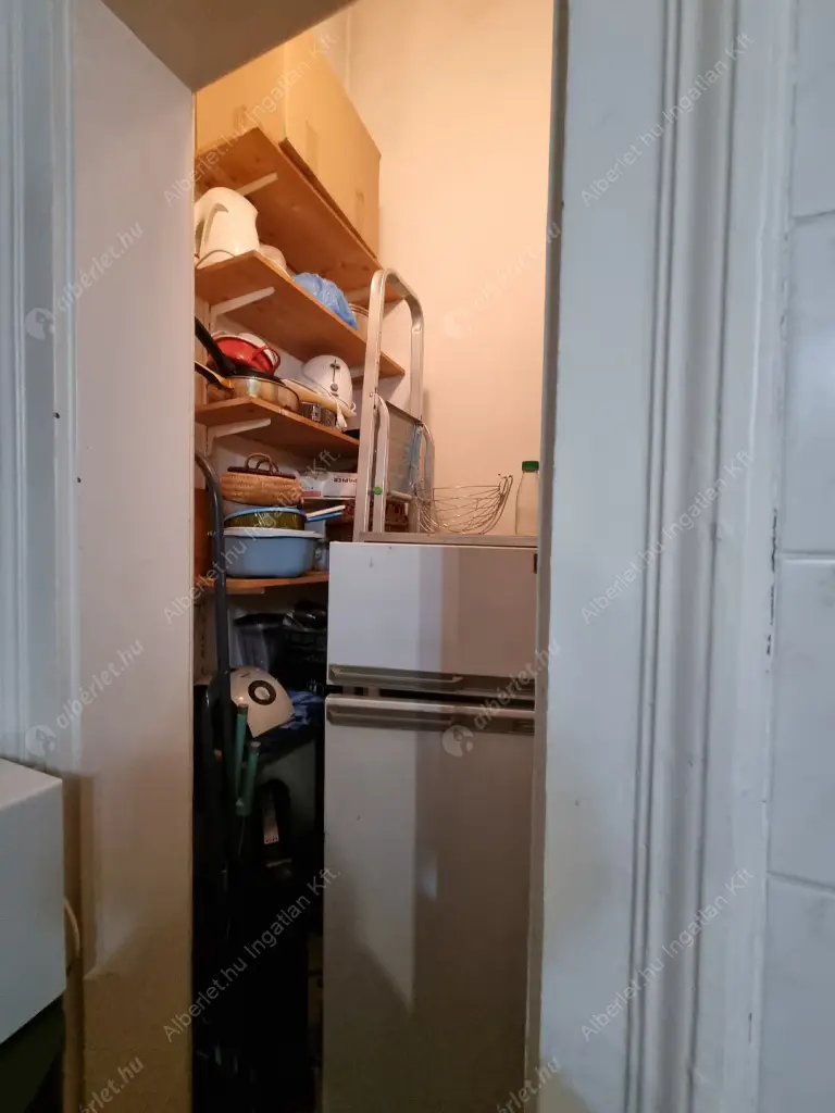 Kiadó albérlet 239000 Ft/hó áron: Budapest, VI. kerület  Podmaniczky utca. Mérete: 47 nm, 1 szobás | Alberlet.hu - 6615079