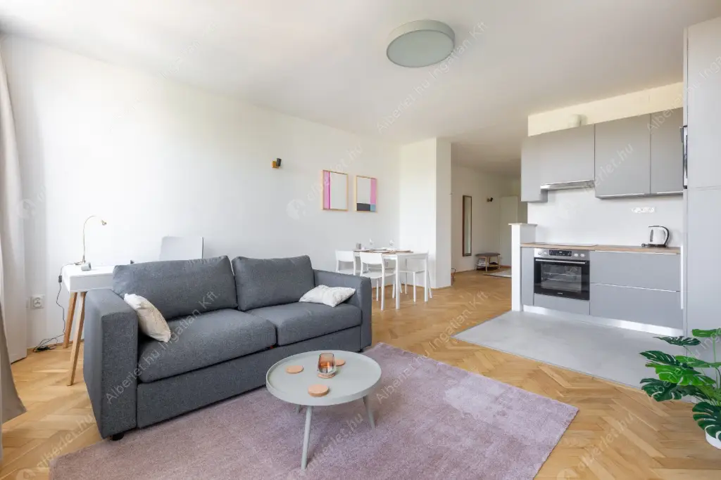 Kiadó albérlet 360000 Ft/hó áron: Budapest, VI. kerület  Podmaniczky utca. Mérete: 52 nm, 2 szobás | Alberlet.hu - 6598373