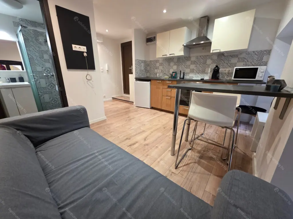 Kiadó albérlet 195000 Ft/hó áron: Budapest, VI. kerület  Rózsa utca. Mérete: 27 nm, 1 szobás | Alberlet.hu - 6667451