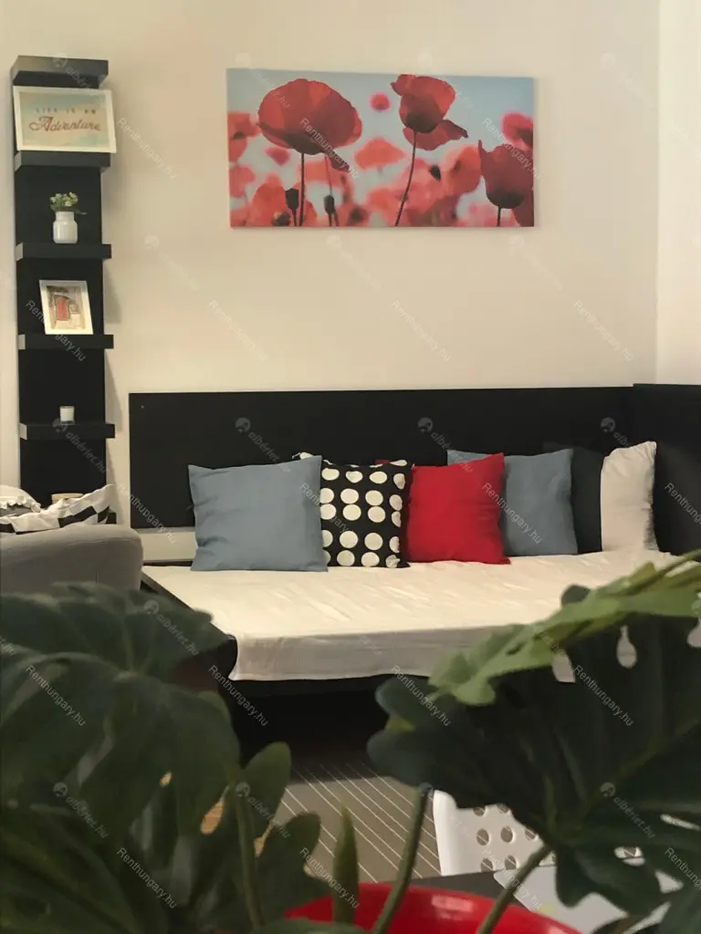 Kiadó albérlet 240000 Ft/hó áron: Budapest, VI. kerület  Rózsa utca. Mérete: 33 nm, 1 szobás | Alberlet.hu - 6045369