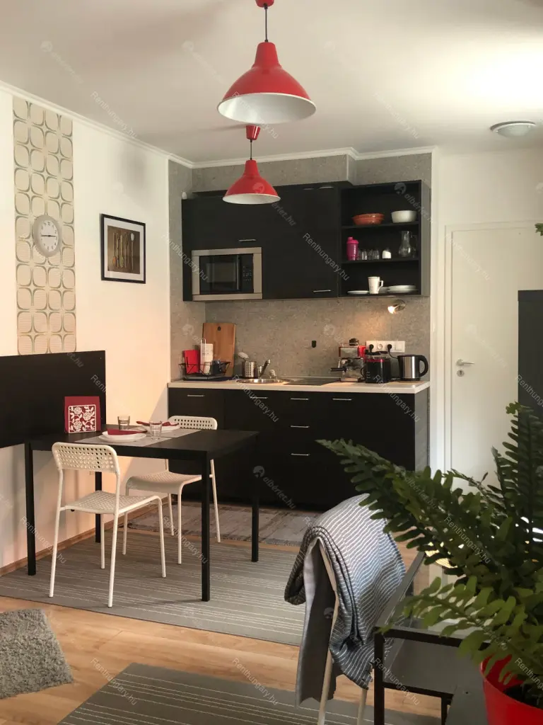 Kiadó albérlet 240000 Ft/hó áron: Budapest, VI. kerület  Rózsa utca. Mérete: 33 nm, 1 szobás | Alberlet.hu - 6045370