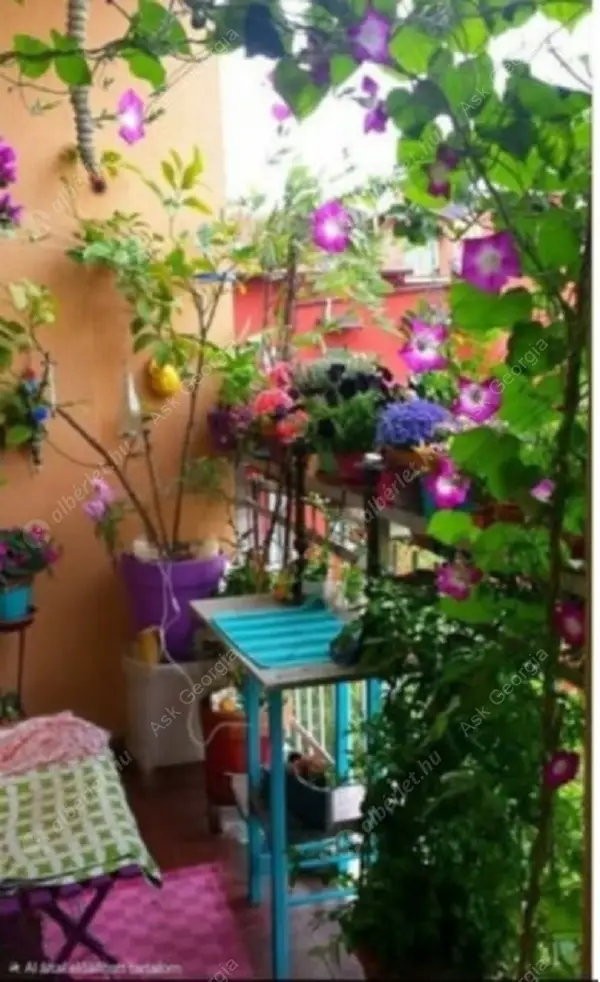 Kiadó albérlet 200000 Ft/hó áron: Budapest, VI. kerület  Székely Mihály utca. Mérete: 33 nm, 1 szobás | Alberlet.hu - 6627401