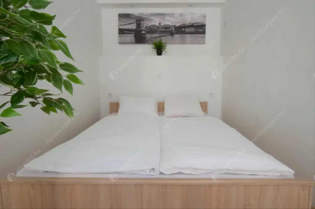 Kiadó albérlet 285000 Ft/hó áron: Budapest, VI. kerület  Teréz körút. Mérete: 59 nm, 1 szobás | Alberlet.hu - 6584798