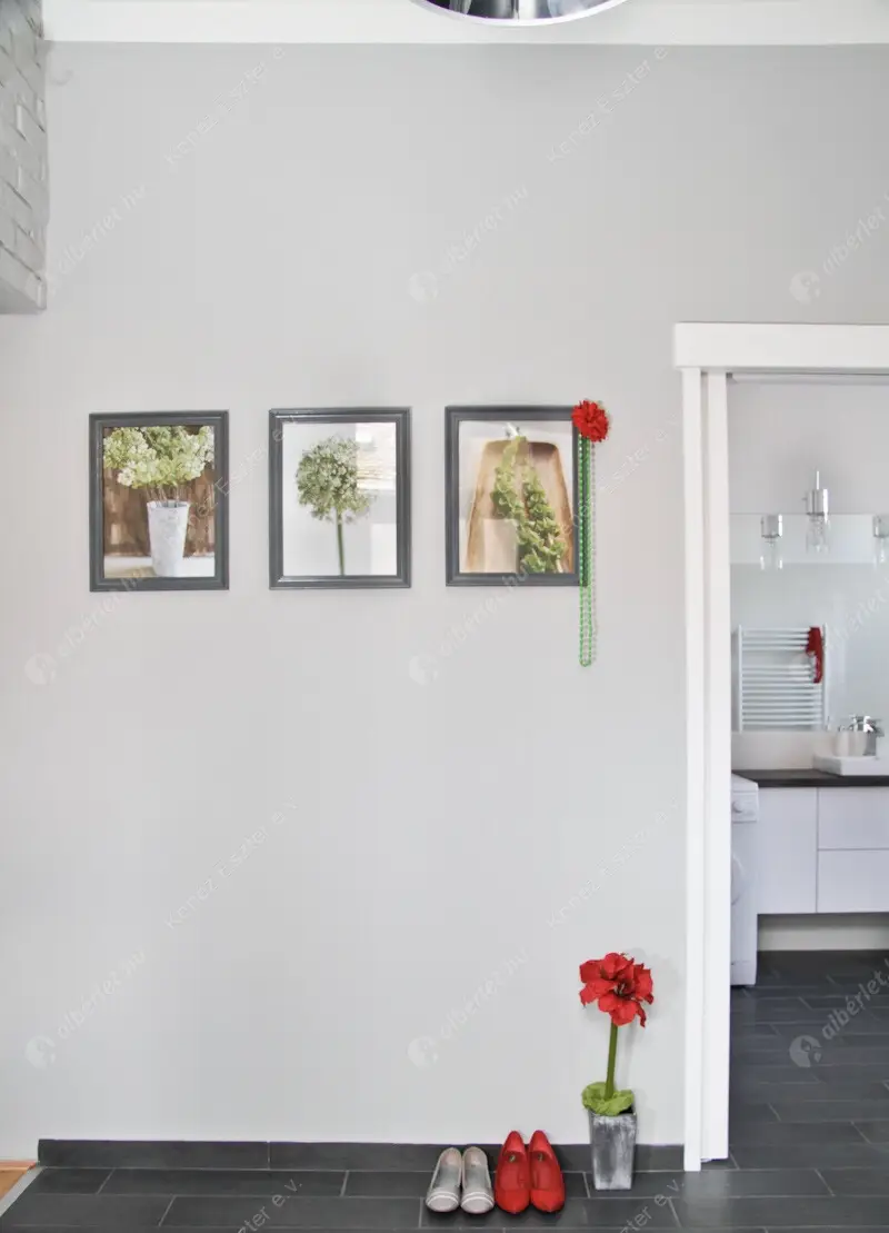 Kiadó albérlet 360000 Ft/hó áron: Budapest, VI. kerület  Teréz körút. Mérete: 61 nm, 2 szobás | Alberlet.hu - 6565842