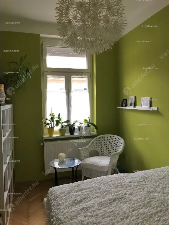 Kiadó albérlet 320000 Ft/hó áron: Budapest, VI. kerület  Teréz körút. Mérete: 61 nm, 2 szobás | Alberlet.hu - 6632477