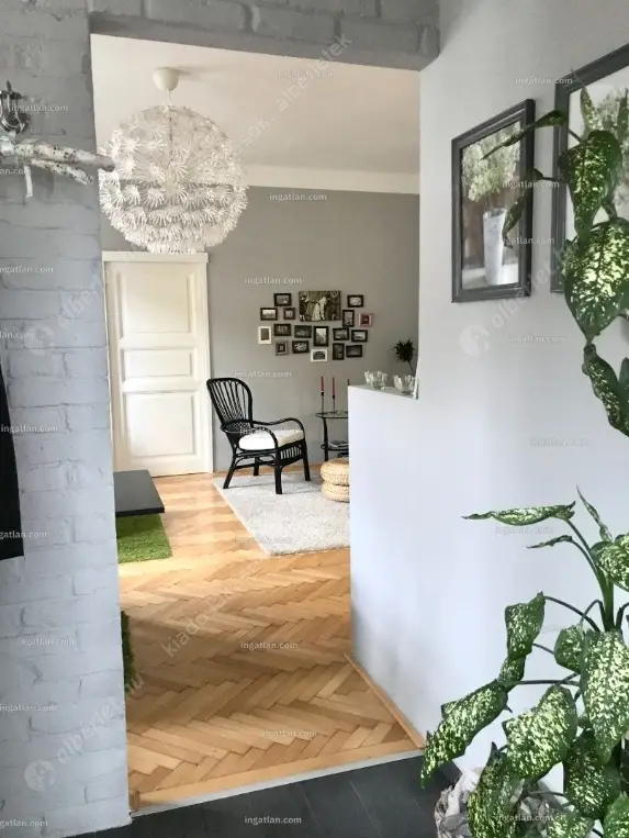 Kiadó albérlet 320000 Ft/hó áron: Budapest, VI. kerület  Teréz körút. Mérete: 61 nm, 2 szobás | Alberlet.hu - 6632487