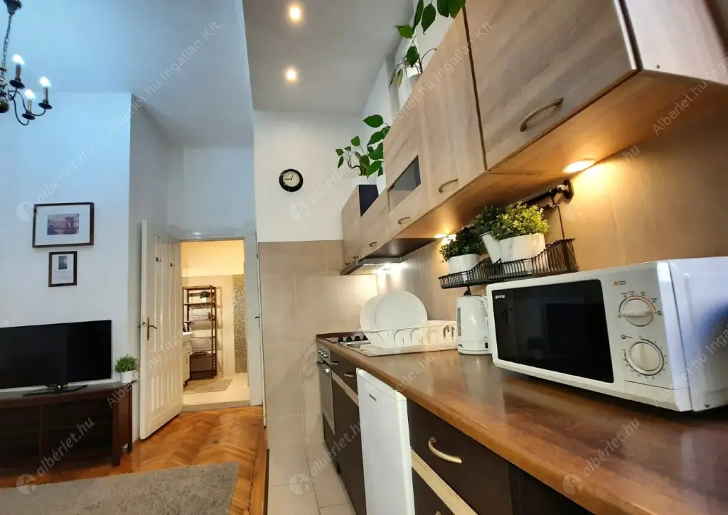 Kiadó albérlet 390000 Ft/hó áron: Budapest, VI. kerület  Vasvári Pál utca. Mérete: 69 nm, 3 szobás | Alberlet.hu - 6622321