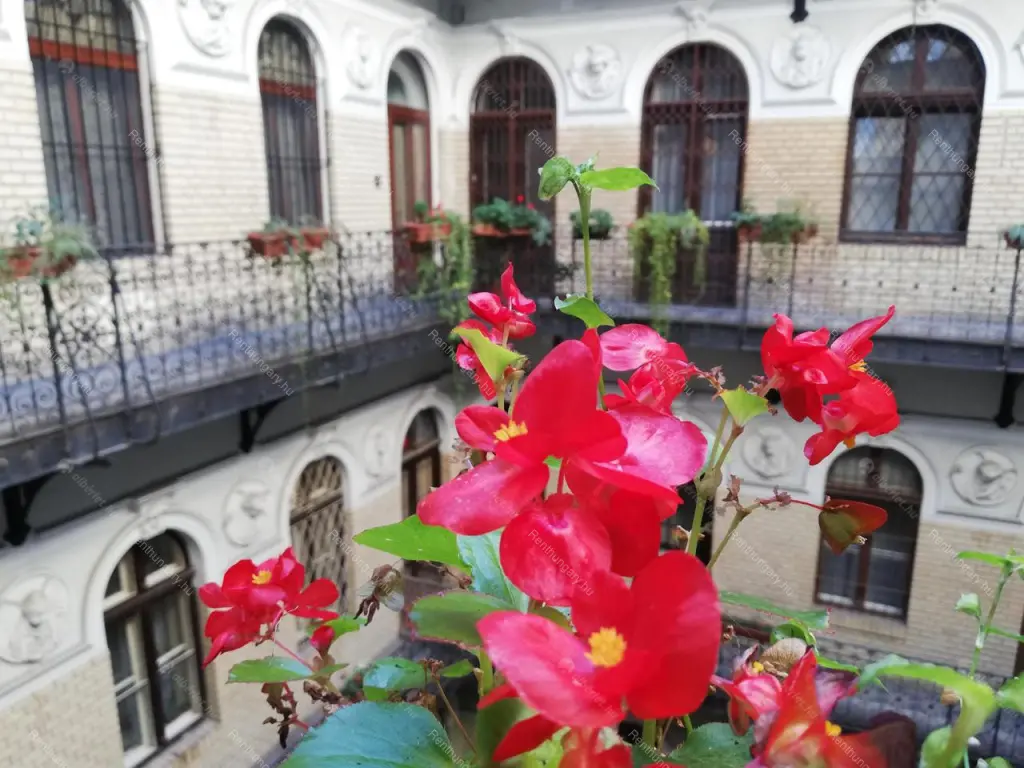 Kiadó albérlet 250000 Ft/hó áron: Budapest, VI. kerület  Zichy Jenő utca. Mérete: 34 nm, 2 szobás | Alberlet.hu - 6669865