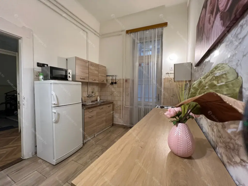 Kiadó albérlet 270000 Ft/hó áron: Budapest, VI. kerület  Zichy Jenő utca. Mérete: 77 nm, 2 szobás | Alberlet.hu - 6669266