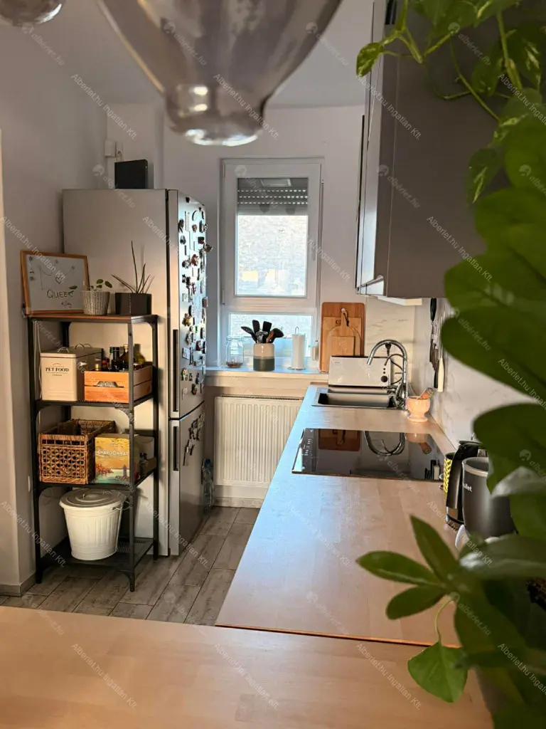 Kiadó albérlet 350000 Ft/hó áron: Budapest, VII. kerület  Damjanich utca. Mérete: 44 nm, 2 szobás | Alberlet.hu - 6659501