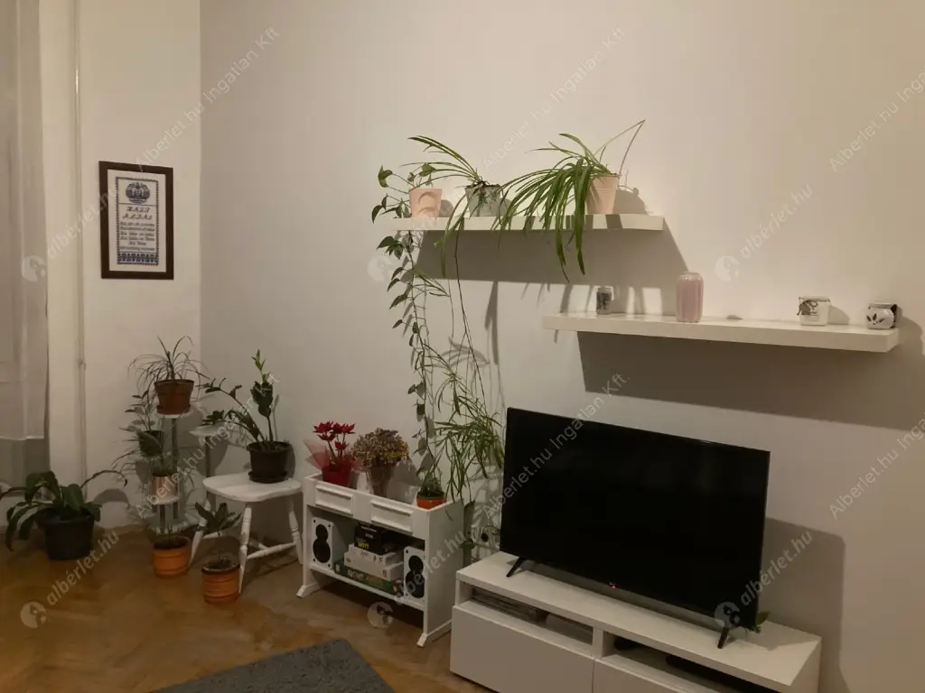 Kiadó albérlet 230000 Ft/hó áron: Budapest, VII. kerület  Dob utca. Mérete: 42 nm, 1 szobás | Alberlet.hu - 6595232