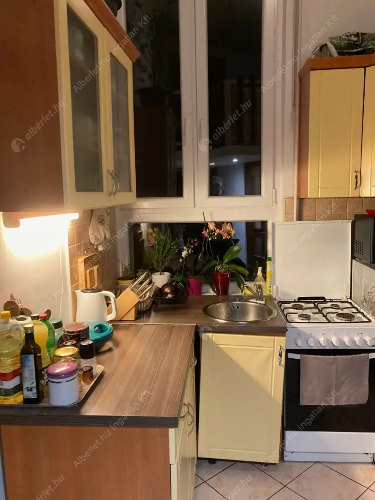 Kiadó albérlet 230000 Ft/hó áron: Budapest, VII. kerület  Dob utca. Mérete: 42 nm, 1 szobás | Alberlet.hu - 6595234
