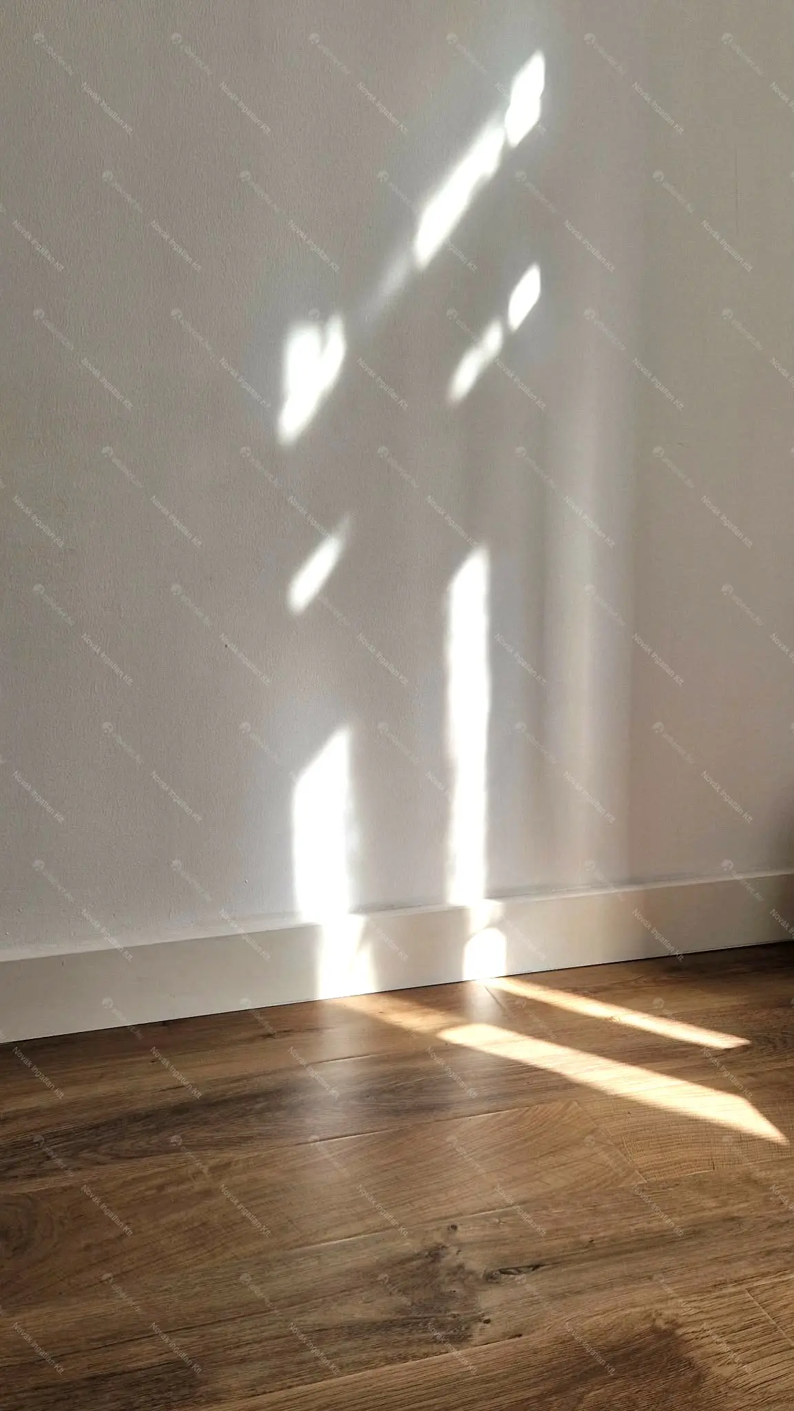 Kiadó albérlet 210000 Ft/hó áron: Budapest, VII. kerület  Garay utca. Mérete: 33 nm, 1 szobás | Alberlet.hu - 6704100