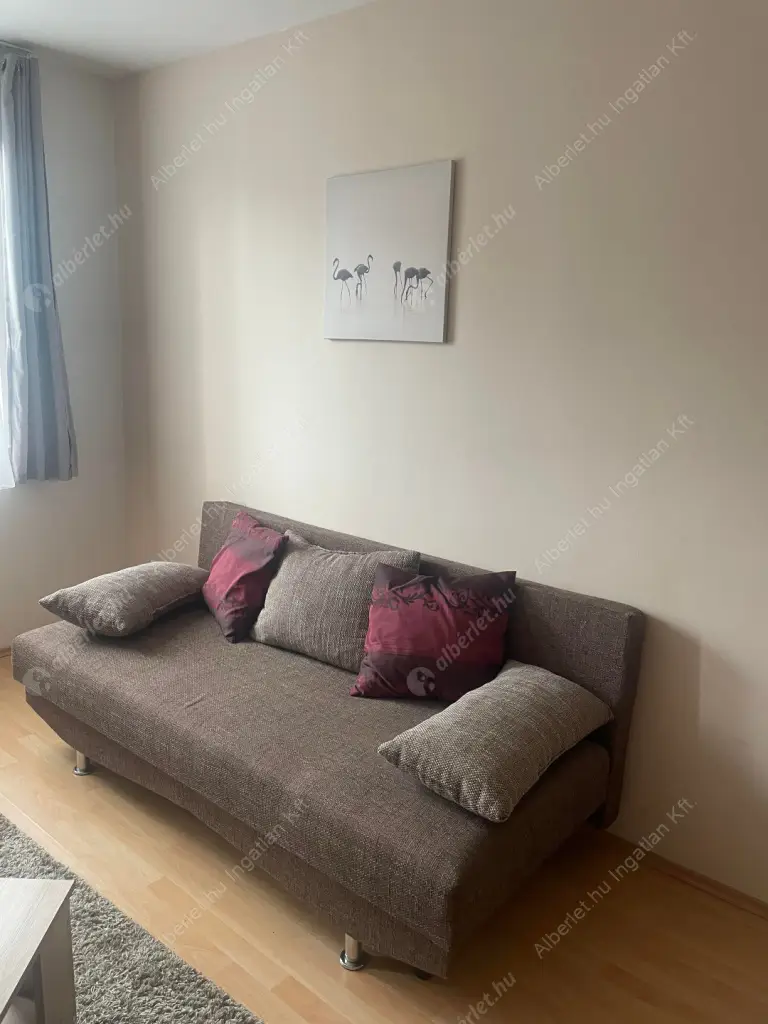 Kiadó albérlet 390000 Ft/hó áron: Budapest, VII. kerület  Garay utca. Mérete: 66 nm, 3 szobás | Alberlet.hu - 6613230
