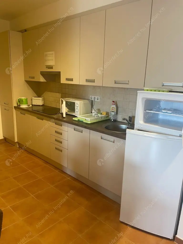 Kiadó albérlet 390000 Ft/hó áron: Budapest, VII. kerület  Garay utca. Mérete: 66 nm, 3 szobás | Alberlet.hu - 6632989