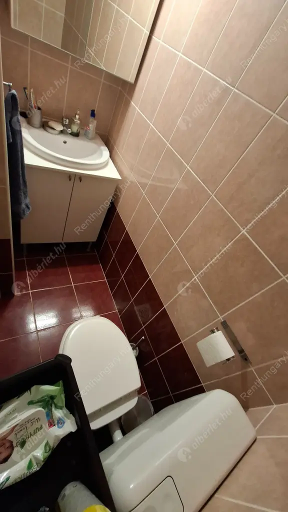 Kiadó albérlet 320000 Ft/hó áron: Budapest, VII. kerület  Holló utca. Mérete: 65 nm, 2 szobás | Alberlet.hu - 6606452