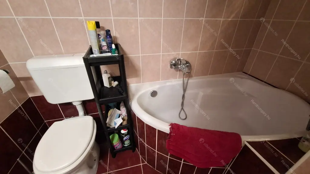 Kiadó albérlet 240000 Ft/hó áron: Budapest, VII. kerület  Holló utca. Mérete: 65 nm, 2 szobás | Alberlet.hu - 6695995