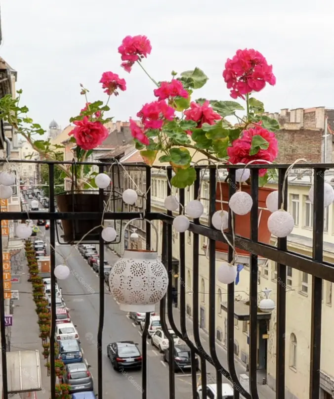 Kiadó albérlet 250000 Ft/hó áron: Budapest, VII. kerület  István út. Mérete: 70 nm, 2 szobás | Alberlet.hu - 5318735