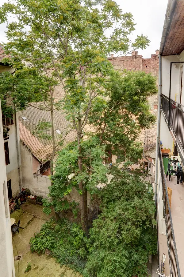 Kiadó albérlet 250000 Ft/hó áron: Budapest, VII. kerület  István út. Mérete: 70 nm, 2 szobás | Alberlet.hu - 5318753