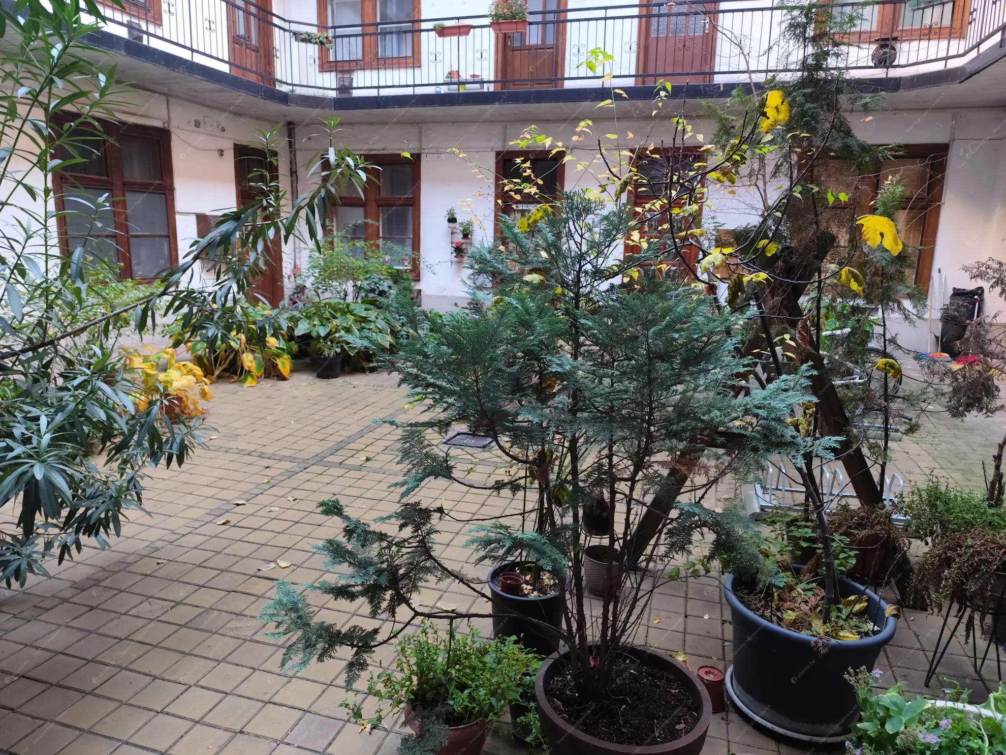 Kiadó albérlet 170000 Ft/hó áron: Budapest, VII. kerület  Peterdy utca. Mérete: 30 nm, 1 szobás | Alberlet.hu - 6573855