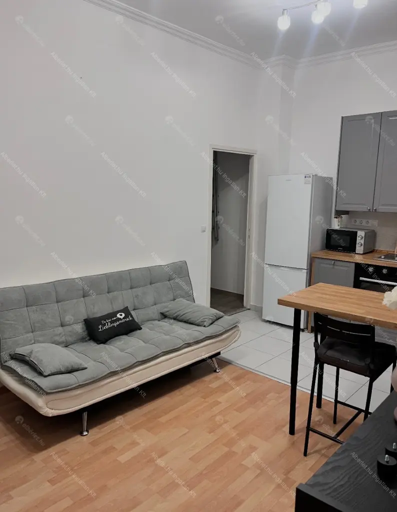 Kiadó albérlet 270000 Ft/hó áron: Budapest, VII. kerület  Rákóczi út. Mérete: 46 nm, 1 szobás | Alberlet.hu - 6685018