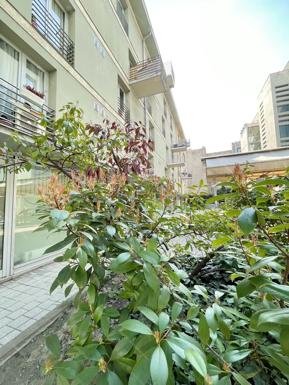 Kiadó albérlet 200000 Ft/hó áron: Budapest, VII. kerület  Rottenbiller utca. Mérete: 30 nm, 1 szobás | Alberlet.hu - 6680912