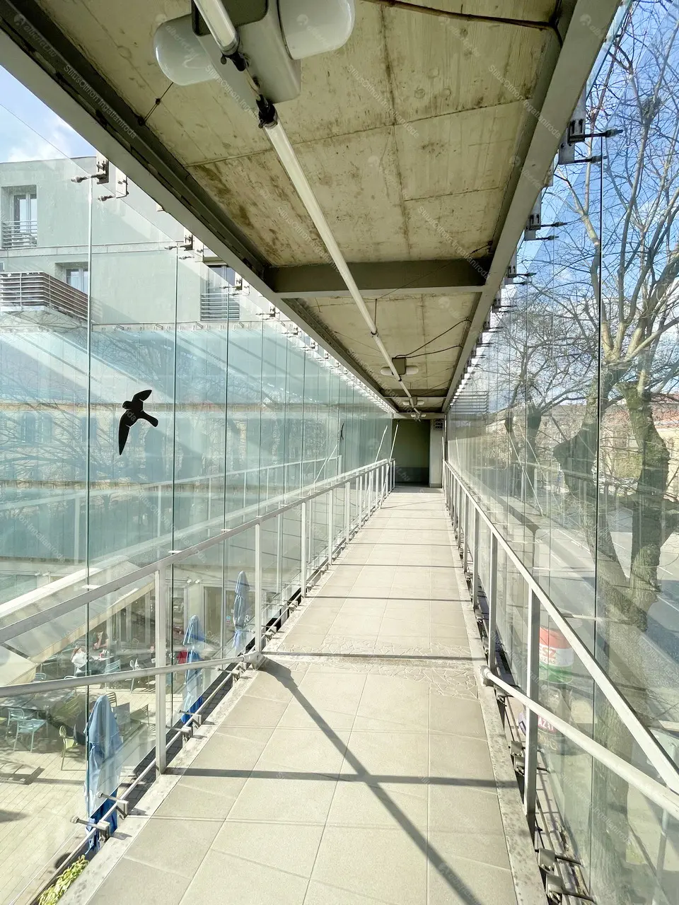 Kiadó albérlet 200000 Ft/hó áron: Budapest, VII. kerület  Rottenbiller utca. Mérete: 30 nm, 1 szobás | Alberlet.hu - 6680928