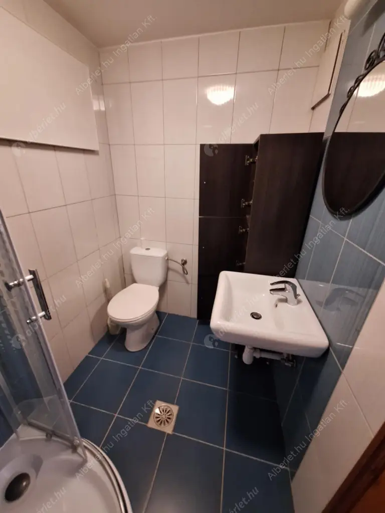 Kiadó albérlet 225000 Ft/hó áron: Budapest, VII. kerület  Síp utca. Mérete: 41 nm, 1 szobás | Alberlet.hu - 6613260