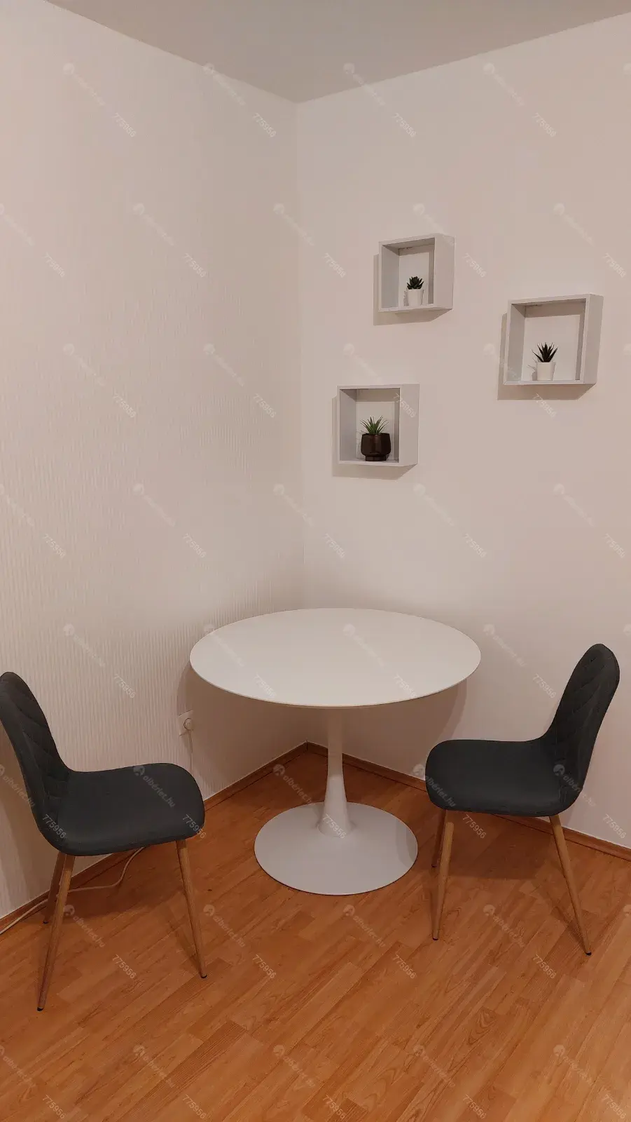 Kiadó albérlet 200000 Ft/hó áron: Budapest, VII. kerület  Százház utca. Mérete: 30 nm, 1 szobás | Alberlet.hu - 6677158