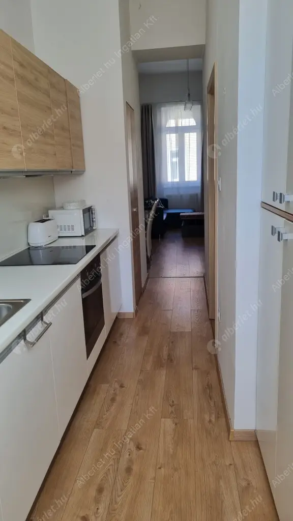 Kiadó albérlet 250000 Ft/hó áron: Budapest, VII. kerület  Wesselényi utca. Mérete: 54 nm, 1 szobás | Alberlet.hu - 6573184