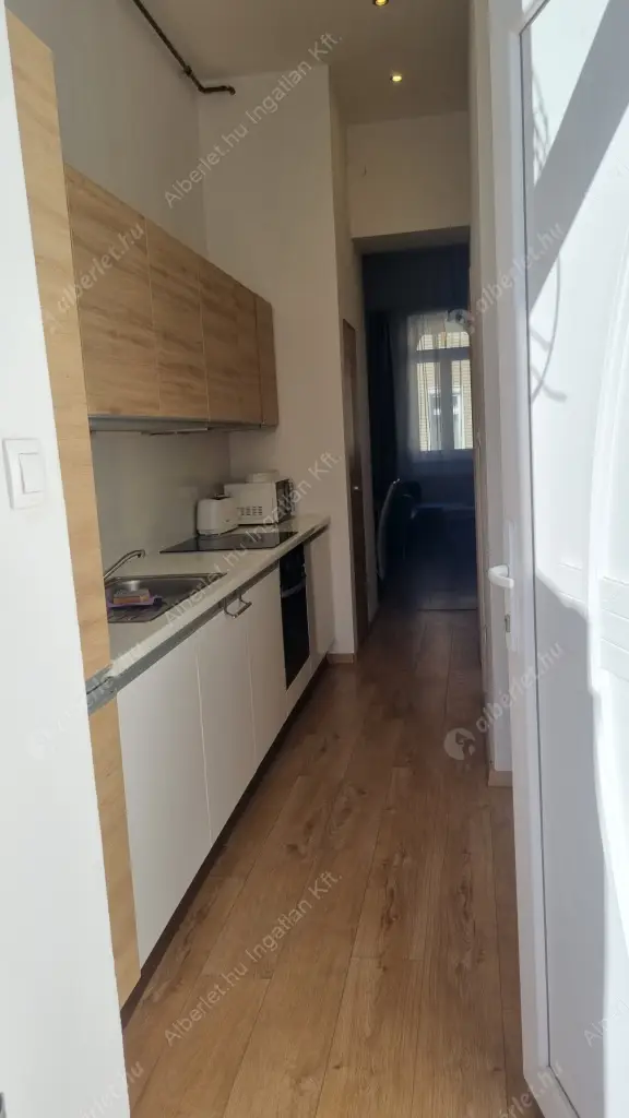 Kiadó albérlet 250000 Ft/hó áron: Budapest, VII. kerület  Wesselényi utca. Mérete: 54 nm, 1 szobás | Alberlet.hu - 6573186