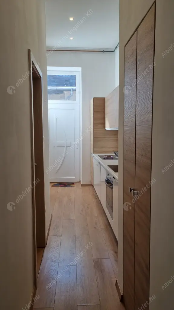 Kiadó albérlet 250000 Ft/hó áron: Budapest, VII. kerület  Wesselényi utca. Mérete: 54 nm, 1 szobás | Alberlet.hu - 6573195