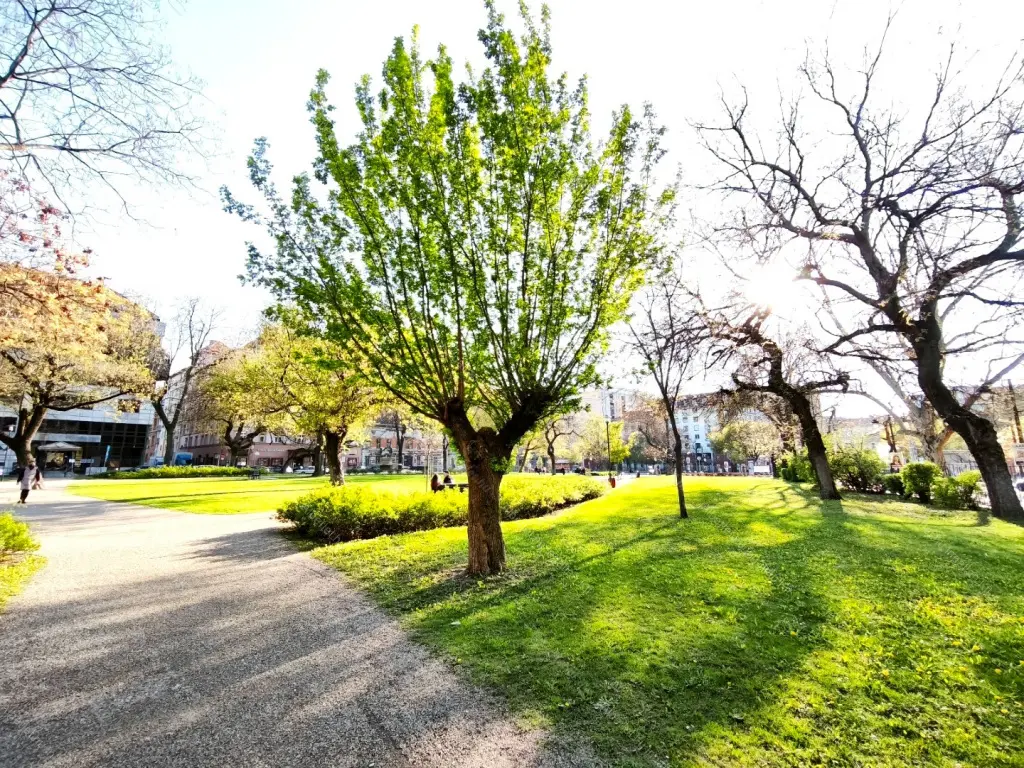 Kiadó albérlet 200000 Ft/hó áron: Budapest, VIII. kerület  Baross utca. Mérete: 25 nm, 1 szobás | Alberlet.hu - 6704774