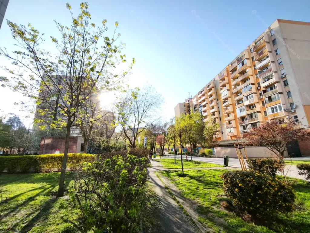 Kiadó albérlet 200000 Ft/hó áron: Budapest, VIII. kerület  Baross utca. Mérete: 25 nm, 1 szobás | Alberlet.hu - 6704778