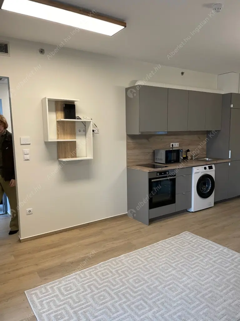 Kiadó albérlet 280000 Ft/hó áron: Budapest, VIII. kerület  Baross utca. Mérete: 32 nm, 1 szobás | Alberlet.hu - 6514896
