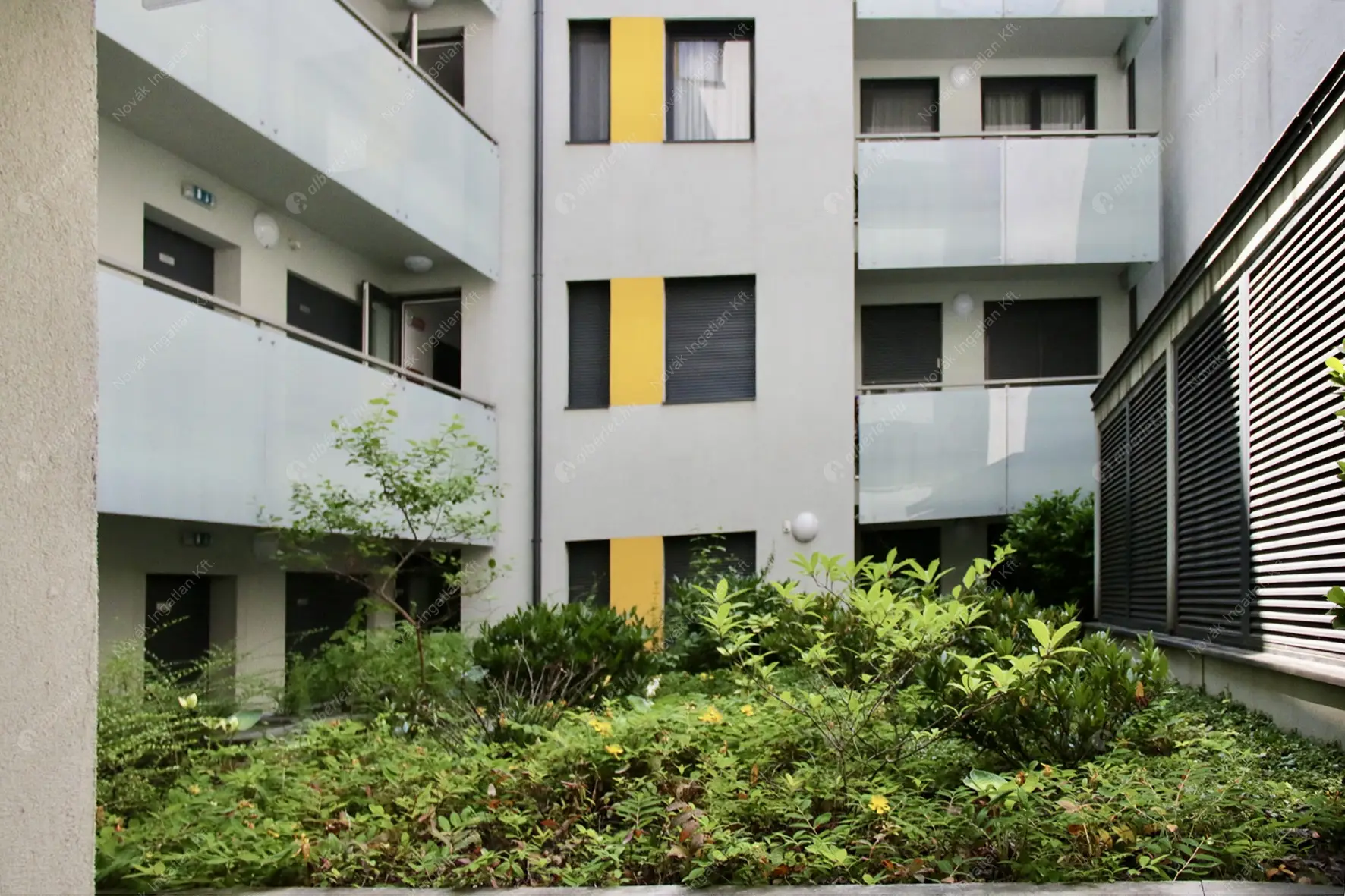 Kiadó albérlet 320000 Ft/hó áron: Budapest, VIII. kerület  Bródy Sándor utca. Mérete: 50 nm, 2 szobás | Alberlet.hu - 6482674