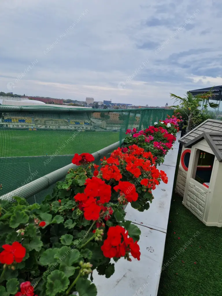 Kiadó albérlet 690000 Ft/hó áron: Budapest, VIII. kerület  Ciprus utca. Mérete: 94 nm, 4 szobás | Alberlet.hu - 6600110