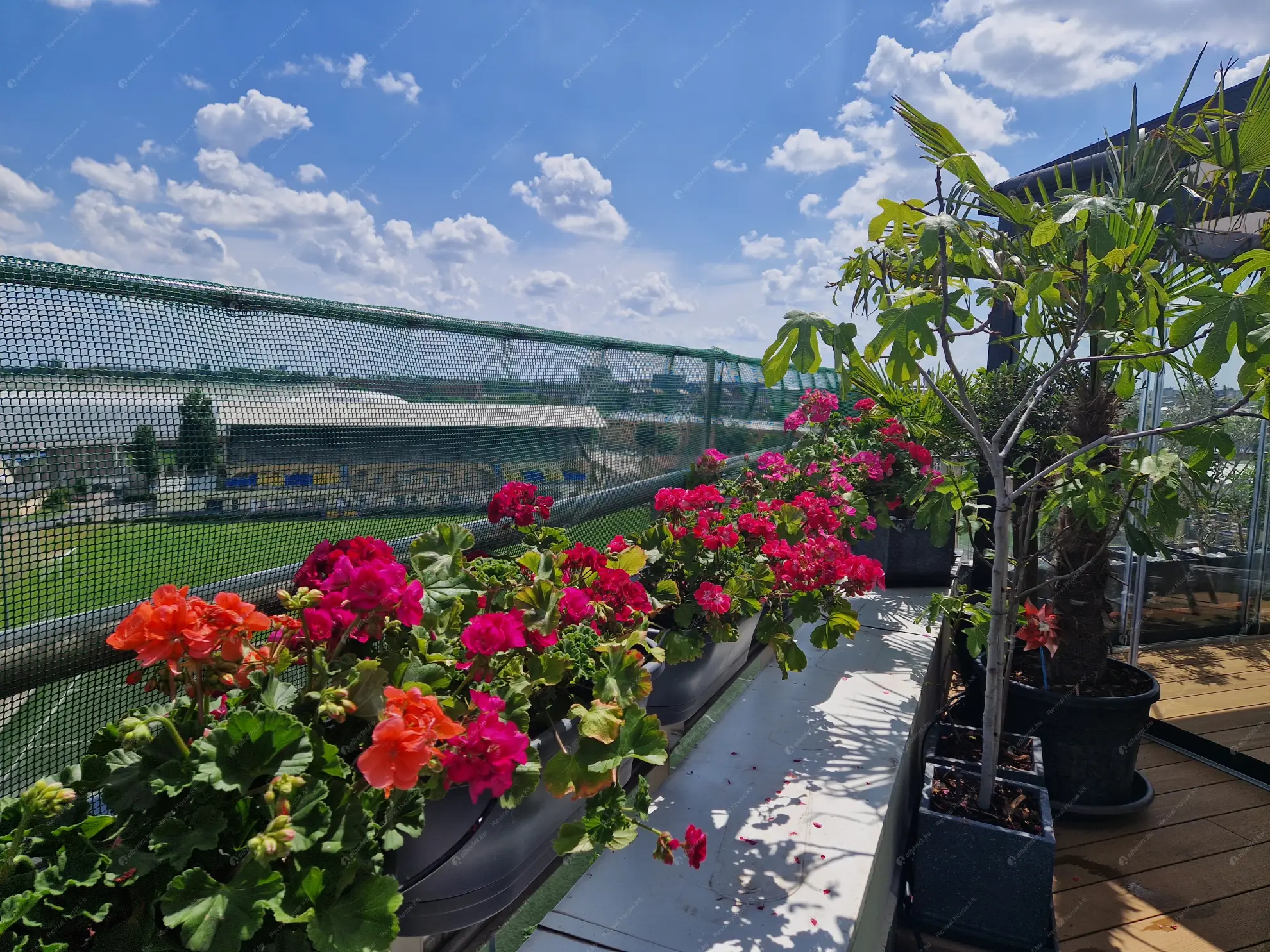 Kiadó albérlet 690000 Ft/hó áron: Budapest, VIII. kerület  Ciprus utca. Mérete: 95 nm, 4 szobás | Alberlet.hu - 6623776