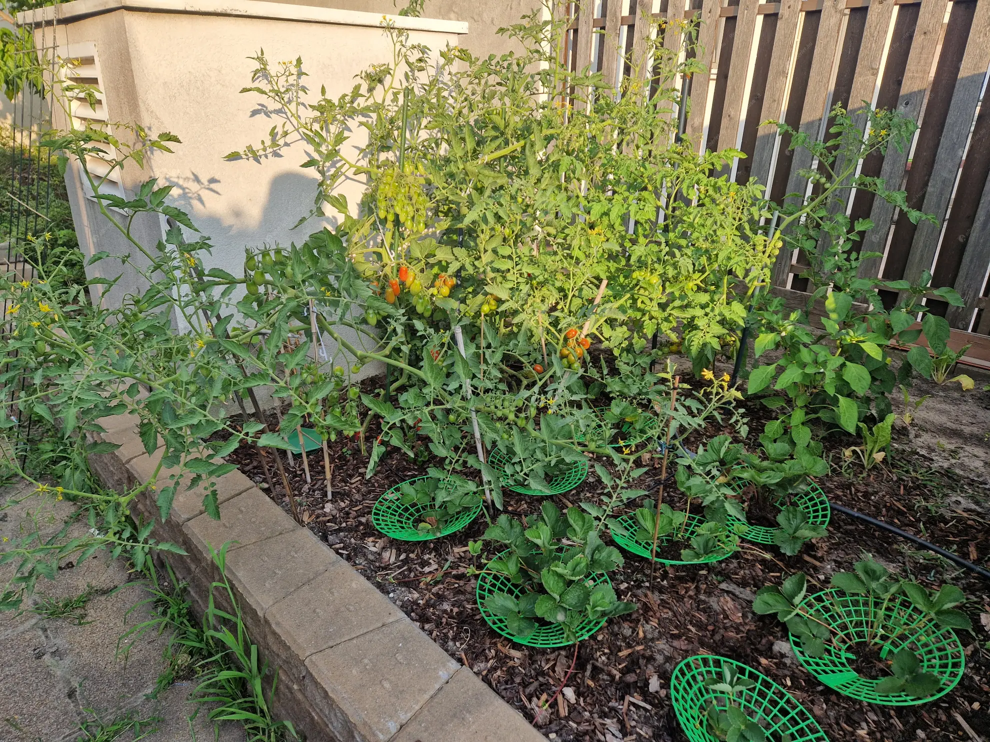 Kiadó albérlet 690000 Ft/hó áron: Budapest, VIII. kerület  Ciprus utca. Mérete: 95 nm, 4 szobás | Alberlet.hu - 6623778