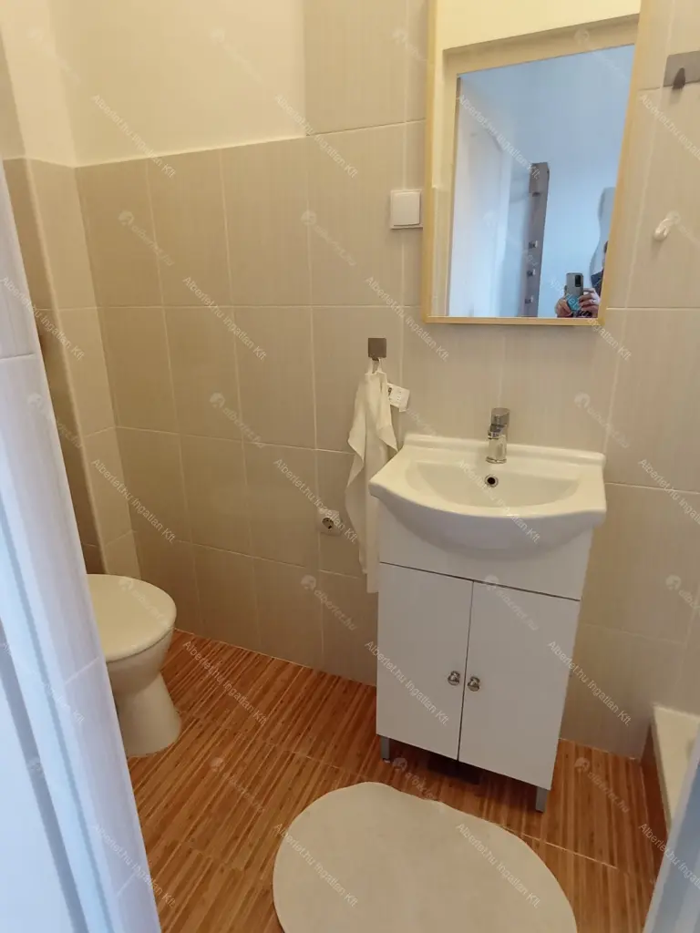 Kiadó albérlet 180000 Ft/hó áron: Budapest, VIII. kerület  Diószegi Sámuel utca. Mérete: 32 nm, 1 szobás | Alberlet.hu - 6704598