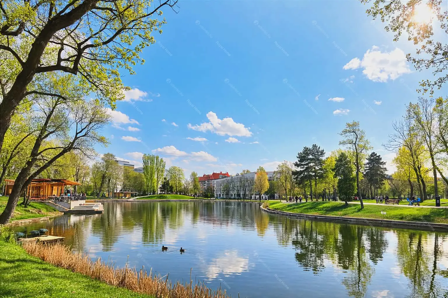 Kiadó albérlet 250000 Ft/hó áron: Budapest, VIII. kerület  Diószegi Sámuel utca. Mérete: 45 nm, 2 szobás | Alberlet.hu - 6675426
