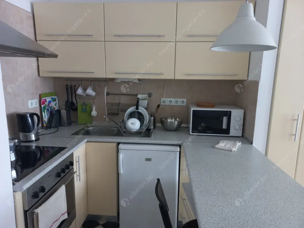 Kiadó albérlet 190000 Ft/hó áron: Budapest, VIII. kerület  Dugonics utca. Mérete: 31 nm, 1 szobás | Alberlet.hu - 6521971