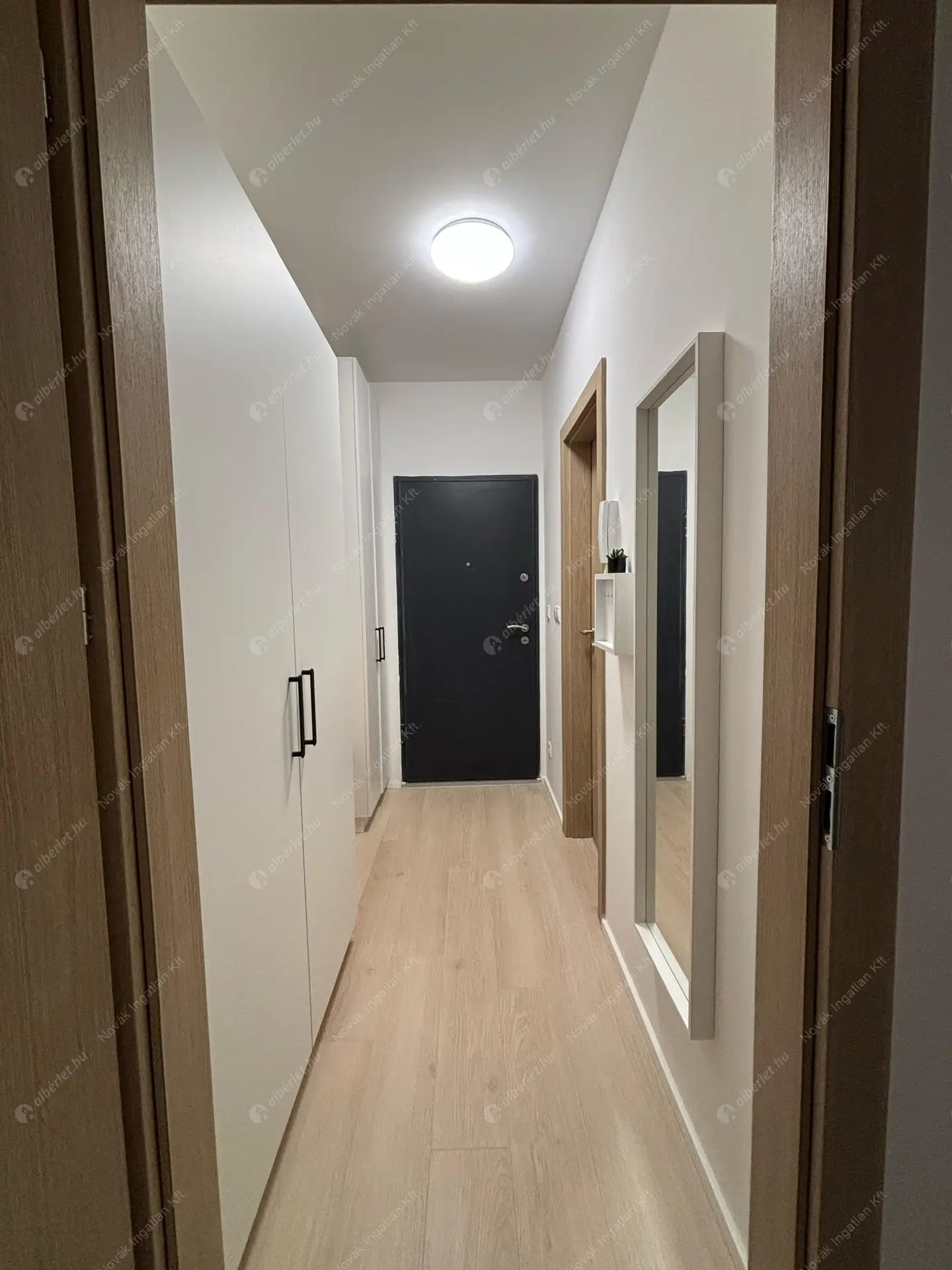 Kiadó albérlet 250000 Ft/hó áron: Budapest, VIII. kerület  Fiumei út. Mérete: 35 nm, 1 szobás | Alberlet.hu - 6375722