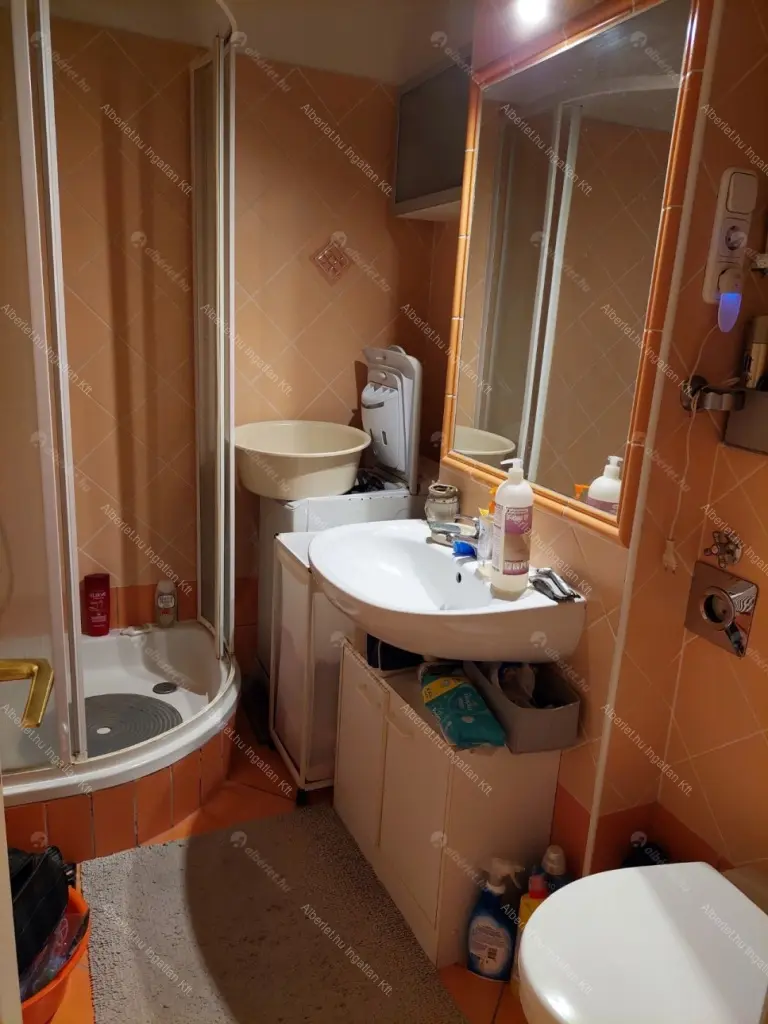 Kiadó albérlet 200000 Ft/hó áron: Budapest, VIII. kerület  Hock János utca. Mérete: 39 nm, 1 szobás | Alberlet.hu - 6666839