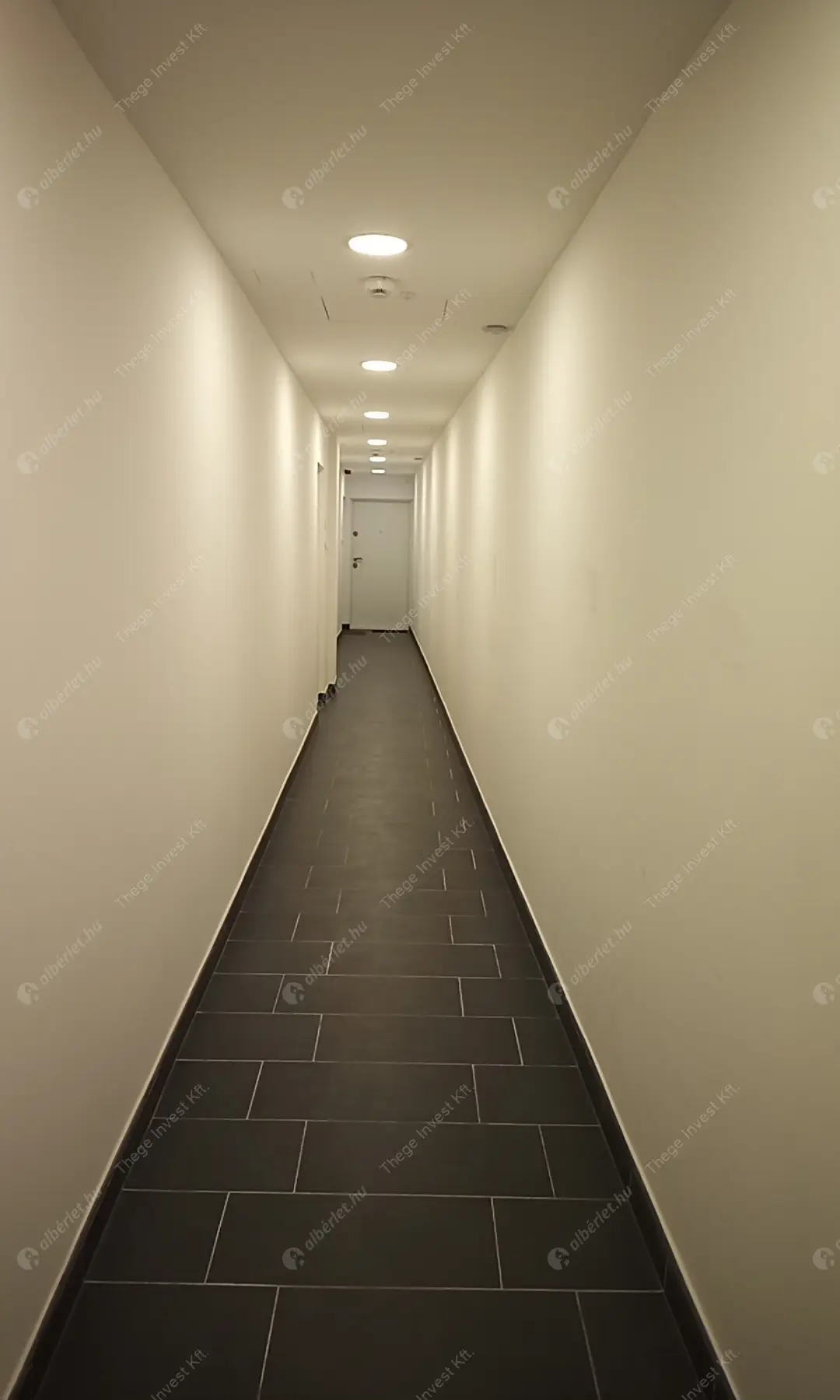 Kiadó albérlet 195000 Ft/hó áron: Budapest, VIII. kerület  Homok utca. Mérete: 29 nm, 1 szobás | Alberlet.hu - 6596082