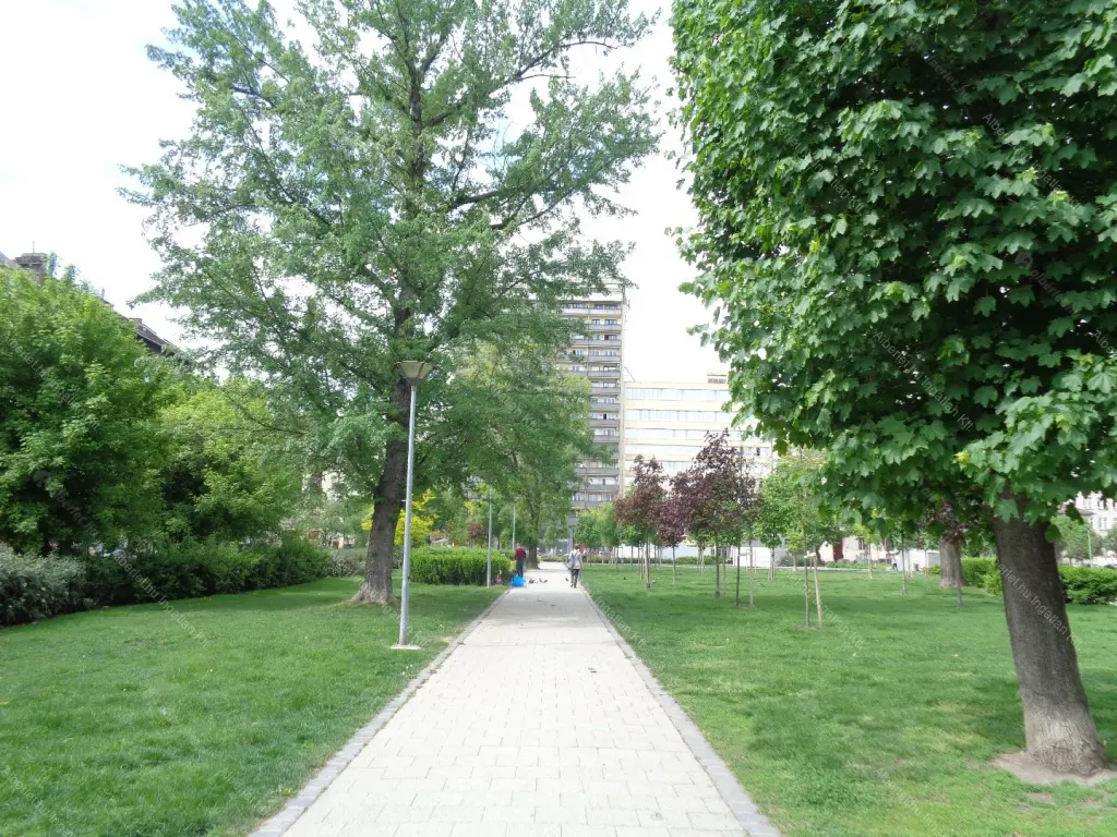 Kiadó albérlet 340000 Ft/hó áron: Budapest, VIII. kerület  Horánszky utca. Mérete: 80 nm, 3 szobás | Alberlet.hu - 6687063